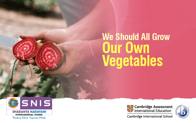 We Should All Grow Our Own Vegetables by Ib schools in bangalore